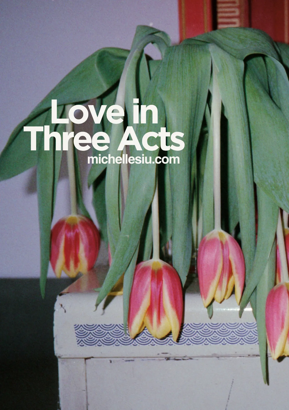 Michelle will be sharing her multi-disciplinary work at film screening at St. Barnabas Press in September 2026-'A Love in Three Acts.'  If you would like an invitation to this intimate/autobiographical exhibition please e-mail Michelle.   More info: https://www.michellesiu.com/love-in-three-acts