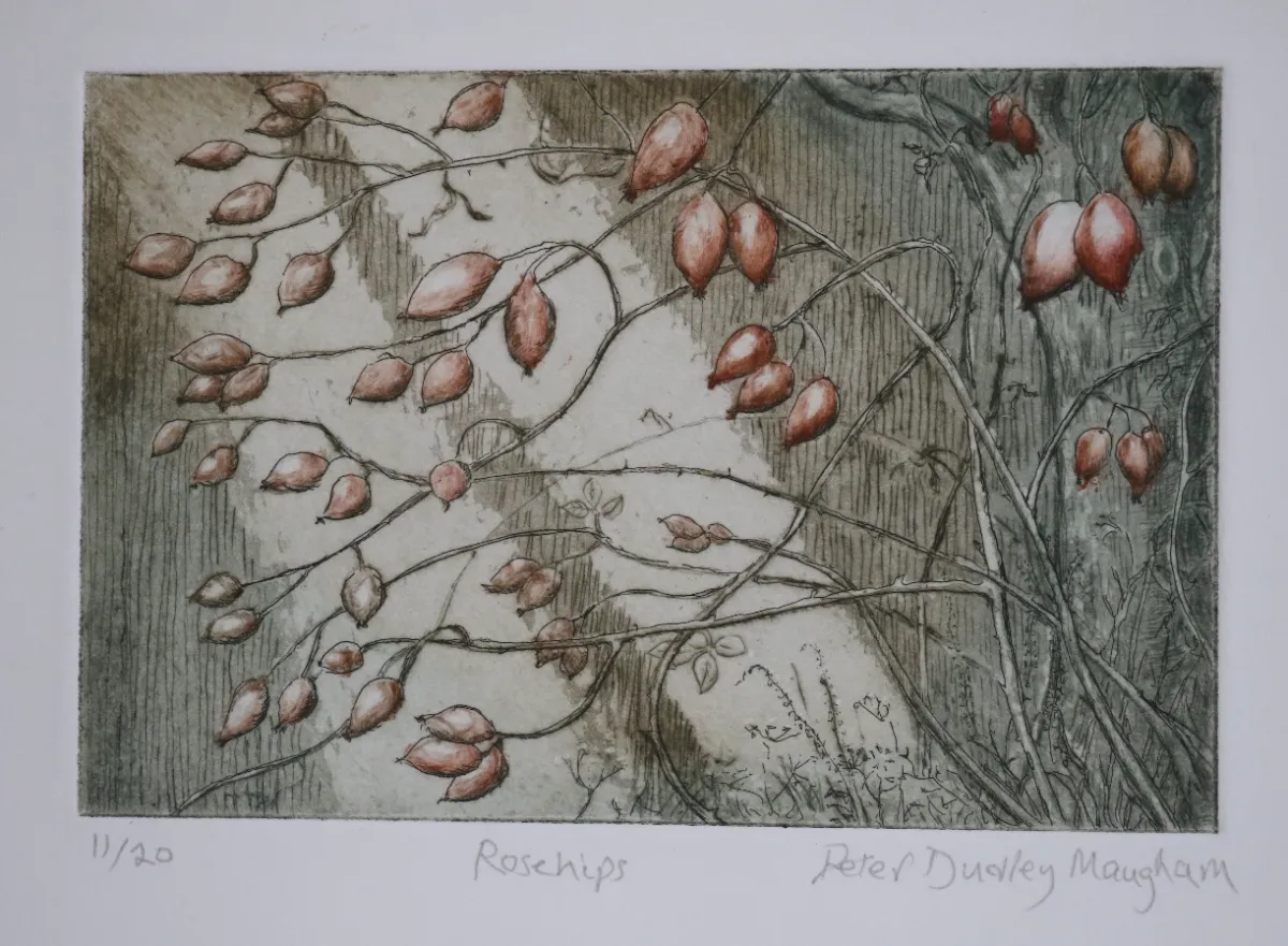 Rose hips in winter