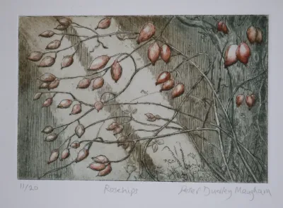 Rose hips in winter